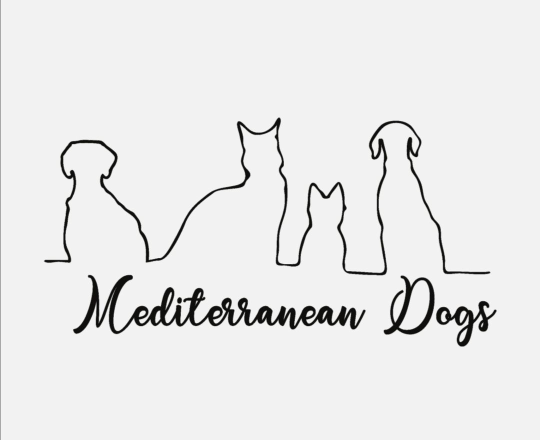 mediterranean Dogs